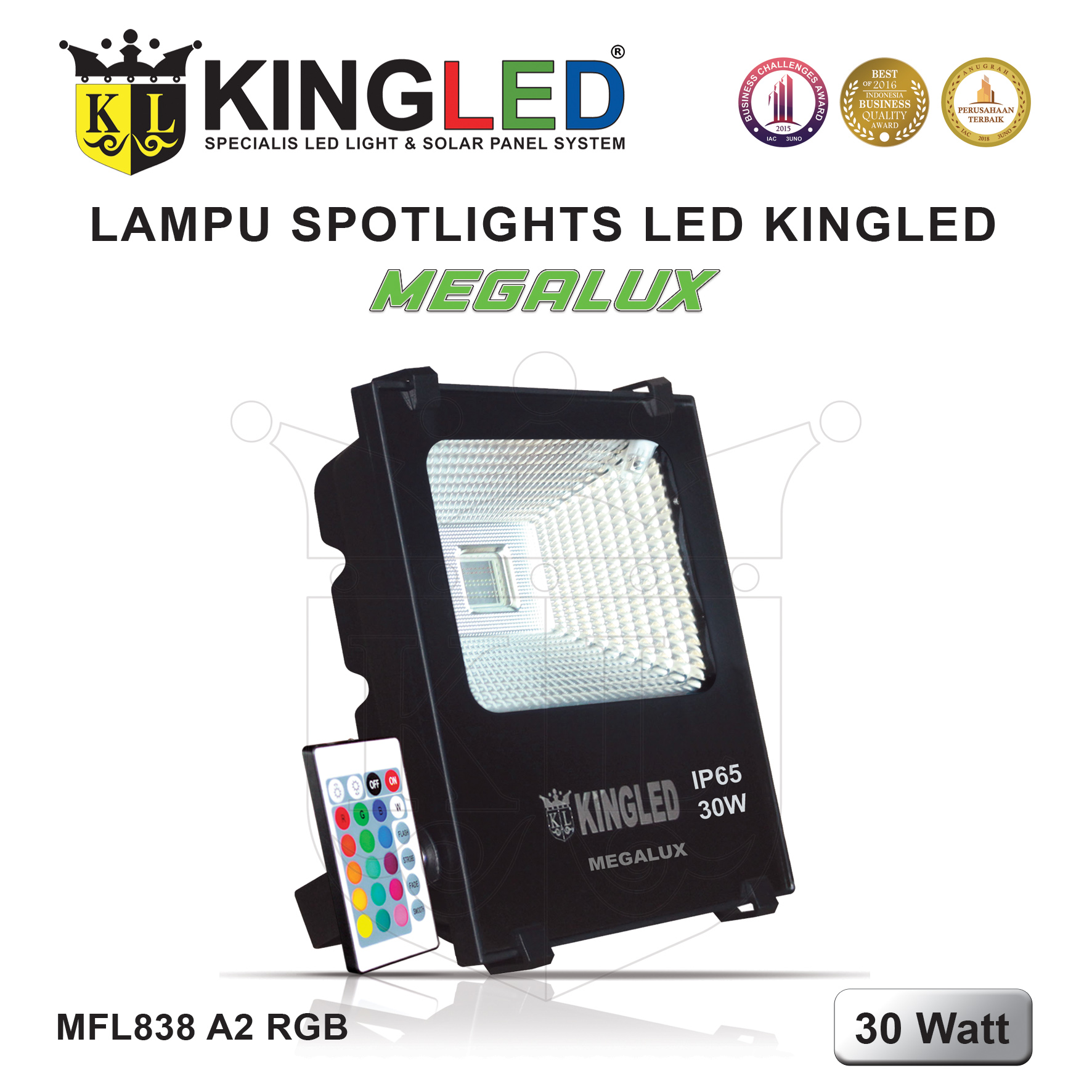 Lampu Sorot LED 30 Watt / LED FloodLight 30 Watt