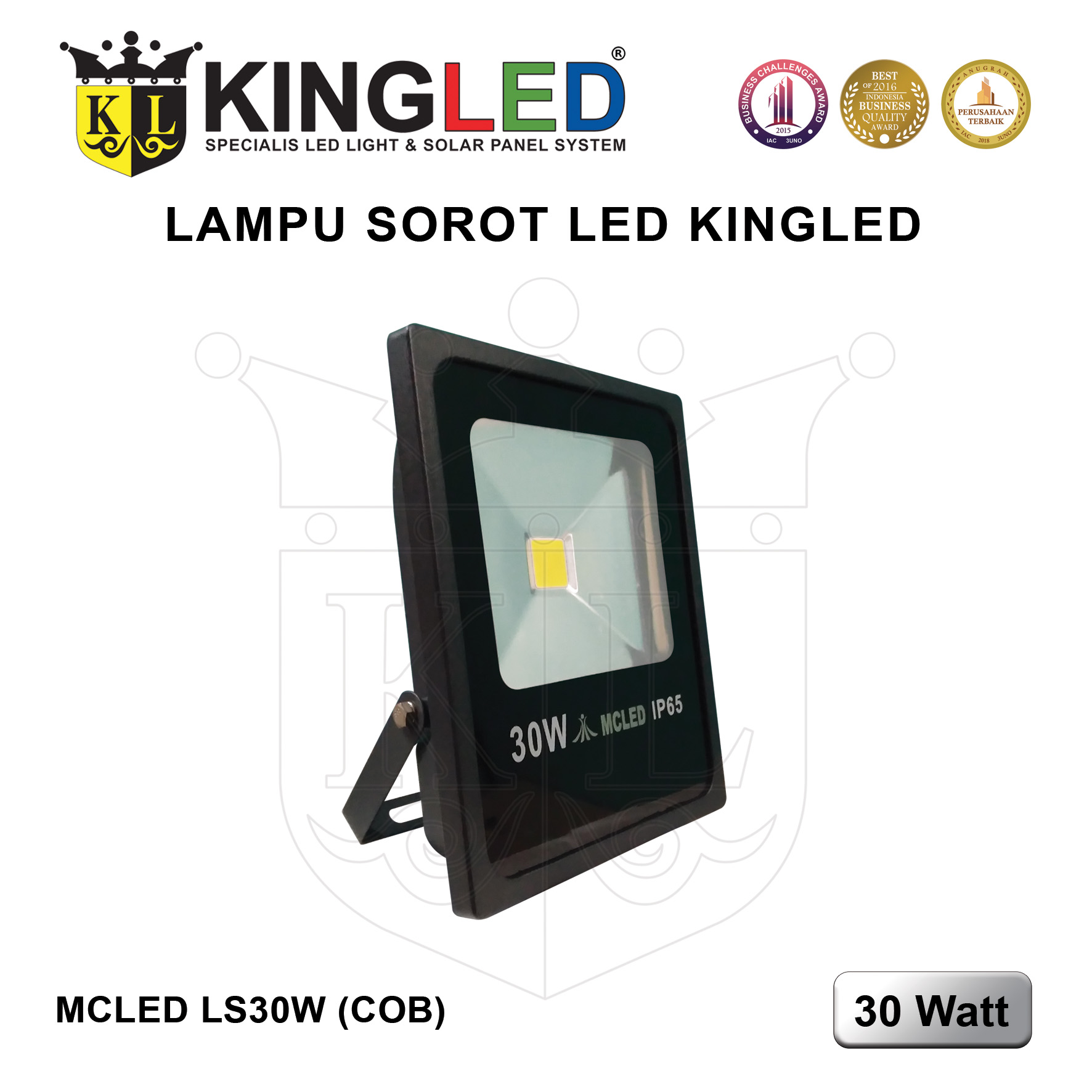 Lampu Sorot LED COB 30 Watt / LED FloodLight 30 Watt COB